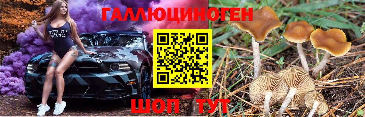 Галлюциногенные грибы ЛСД Старый Оскол